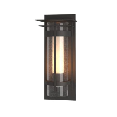 A large image of the Hubbardton Forge 305997 Coastal Natural Iron / Seedy