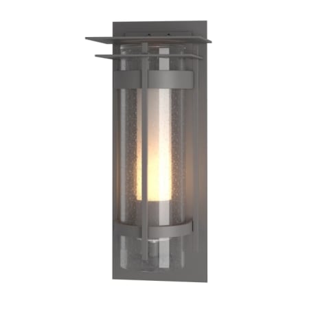 A large image of the Hubbardton Forge 305999 Coastal Burnished Steel / Seedy