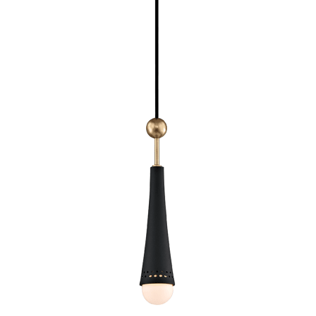 A large image of the Hudson Valley Lighting 2130 Aged Brass / Black