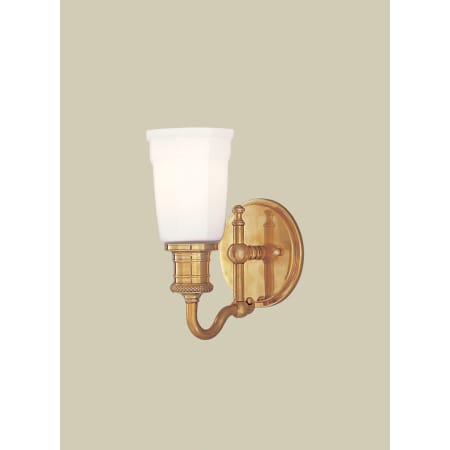 A large image of the Hudson Valley Lighting 2501 Aged Brass