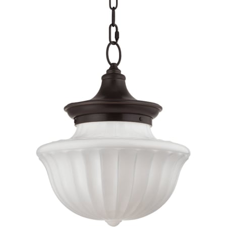 A large image of the Hudson Valley Lighting 5015 Old Bronze