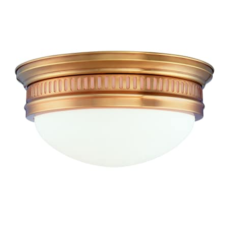 A large image of the Hudson Valley Lighting 6715 Aged Brass