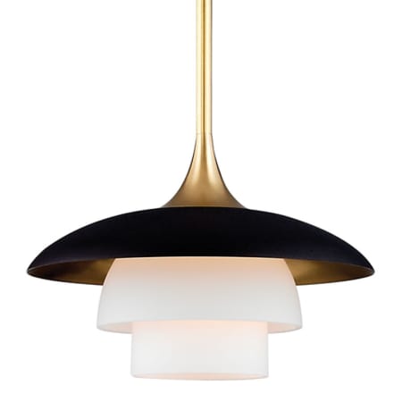 A large image of the Hudson Valley Lighting 1010 Aged Brass / Black