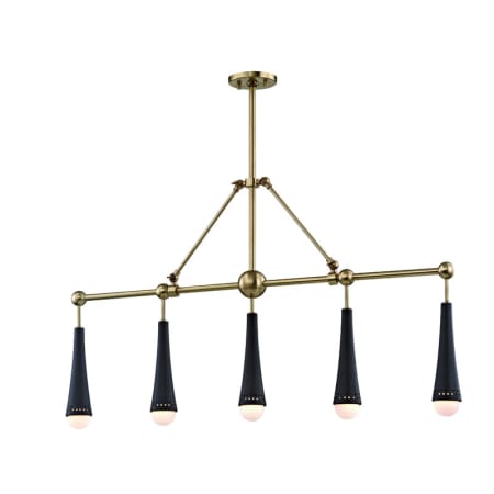 A large image of the Hudson Valley Lighting 2125 Aged Brass / Black