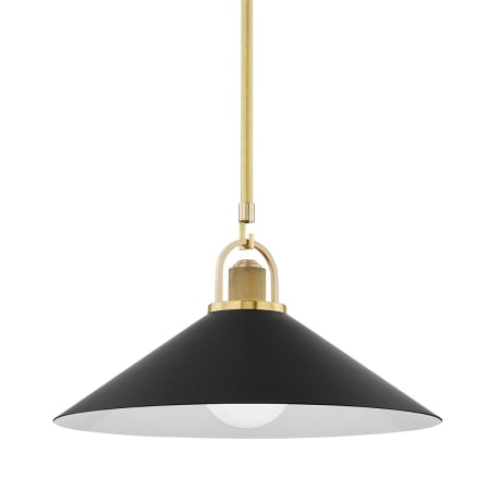 A large image of the Hudson Valley Lighting 2620 Aged Brass / Black