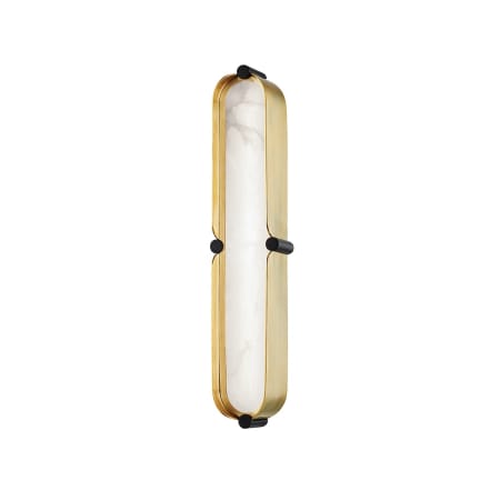 A large image of the Hudson Valley Lighting 2916 Aged Brass / Black