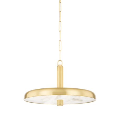 A large image of the Hudson Valley Lighting 3820 Aged Brass