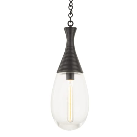 A large image of the Hudson Valley Lighting 3938 Black Brass