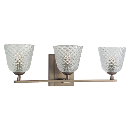 A large image of the Hudson Valley Lighting 4063 Brushed Bronze