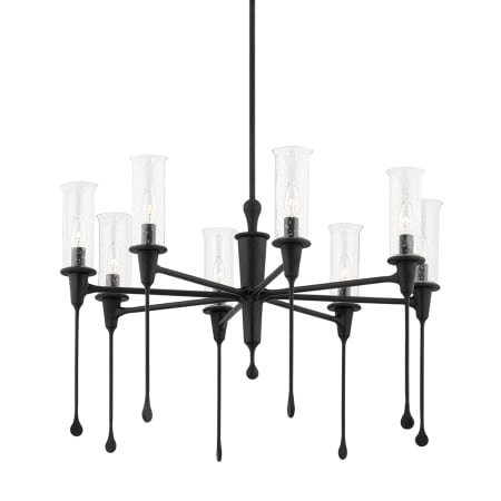 A large image of the Hudson Valley Lighting 4131 Black Iron