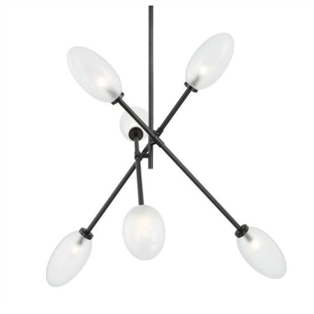 A large image of the Hudson Valley Lighting 5052 Black Brass