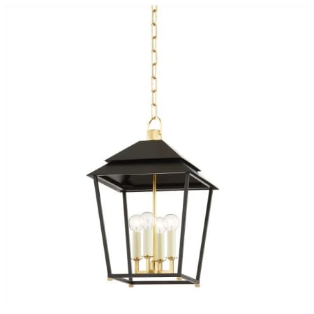 A large image of the Hudson Valley Lighting 5119 Aged Brass / Satin Black