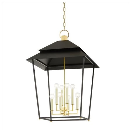 A large image of the Hudson Valley Lighting 5138 Aged Brass / Satin Black