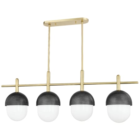 A large image of the Hudson Valley Lighting 6152 Aged Brass / Black