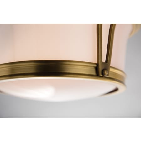 A large image of the Hudson Valley Lighting 6513 Shade Detail