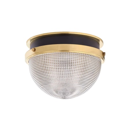 A large image of the Hudson Valley Lighting 6914 Aged Brass / Black