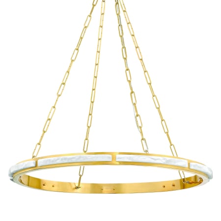 A large image of the Hudson Valley Lighting 8136 Aged Brass