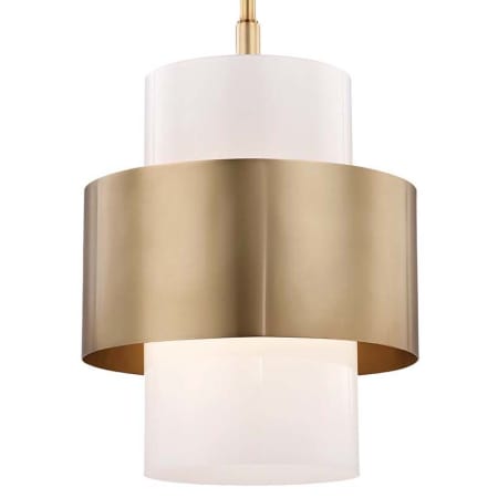 A large image of the Hudson Valley Lighting 8615 Aged Brass