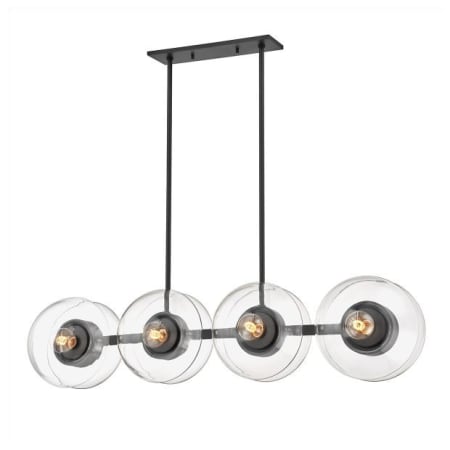 A large image of the Hudson Valley Lighting 9450 Black Brass