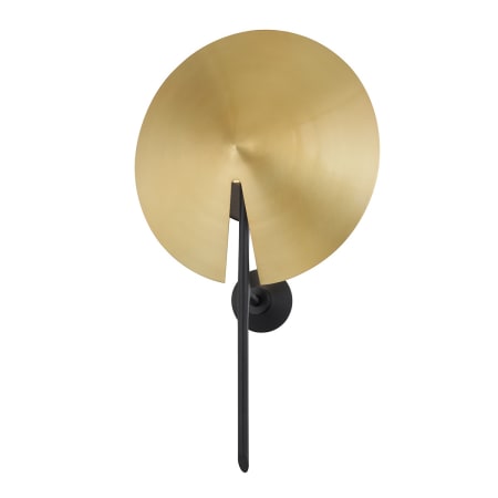 A large image of the Hudson Valley Lighting 9701 Black / Aged Brass