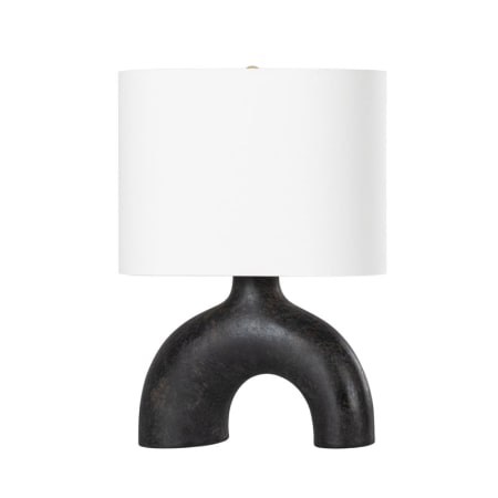 A large image of the Hudson Valley Lighting L1622 Aged Brass / Earth Charcoal Ceramic