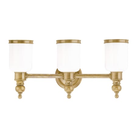 A large image of the Hudson Valley Lighting 6303 Aged Brass