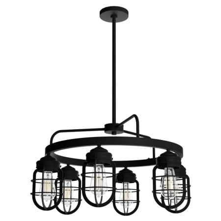 A large image of the Hunter Starklake 26 Chandelier Chandelier with Canopy - NI
