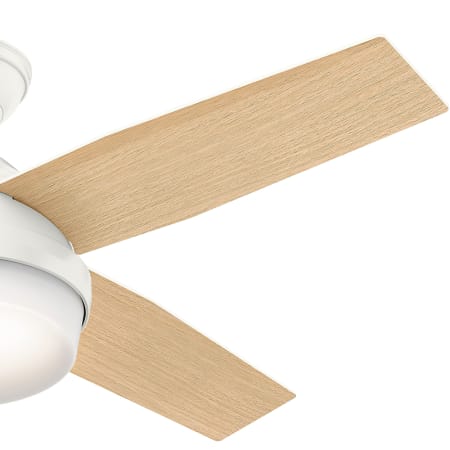 59216 Dempsey 52 inch Hunter Indoor Ceiling Fan with light and remote control Brushed Nickel