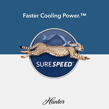 A large image of the Hunter Gimour 44 LED Low Profile SureSpeed