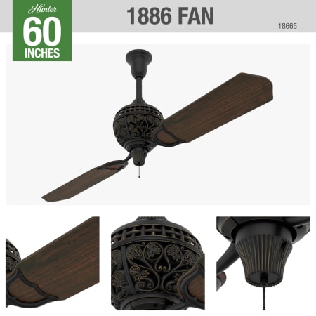 A large image of the Hunter 1886 Limited Edition Hunter 18865 Ceiling Fan Details