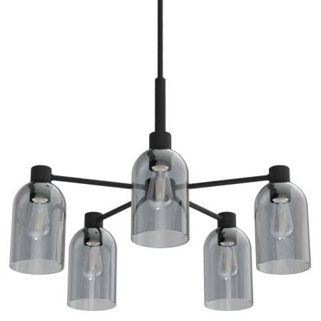 A large image of the Hunter Lochemeade 26 Chandelier Natural Iron
