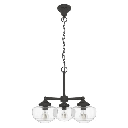 A large image of the Hunter Saddle Creek 21 Chandelier CG Noble Bronze