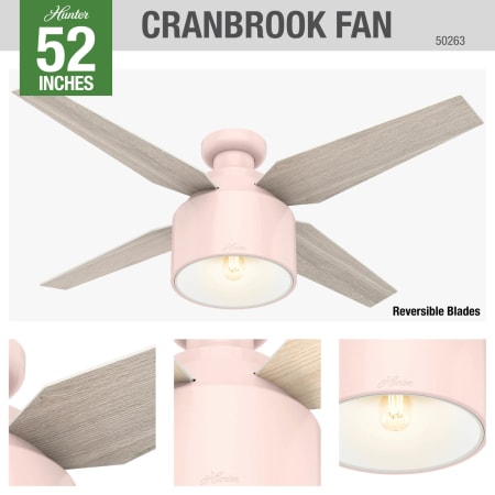 A large image of the Hunter Cranbrook 52 Low Profile Hunter 50263 Cranbrook Ceiling Fan Details