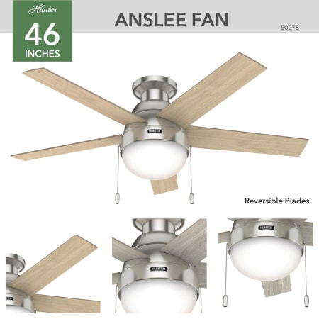 A large image of the Hunter Anslee Low Profile Hunter 50278 Anslee Ceiling Fan Details