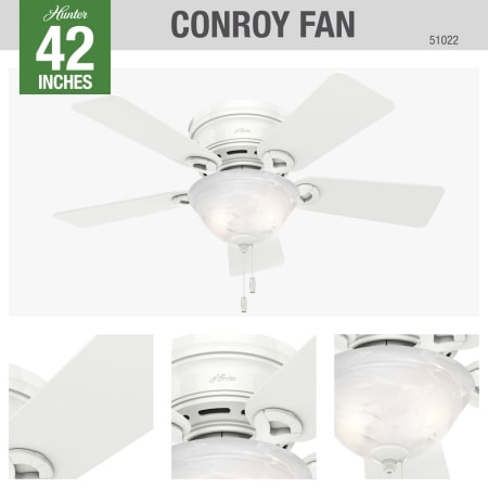 A large image of the Hunter Conroy Hunter 51022 Ceiling Fan Details
