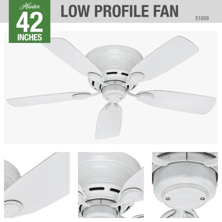 A large image of the Hunter Low Profile 42 Hunter 51059 Ceiling Fan Details
