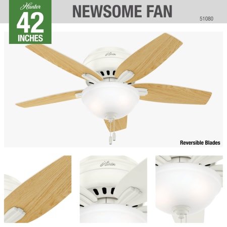 A large image of the Hunter Newsome 42 Low Profile Hunter 51080 Ceiling Fan Details