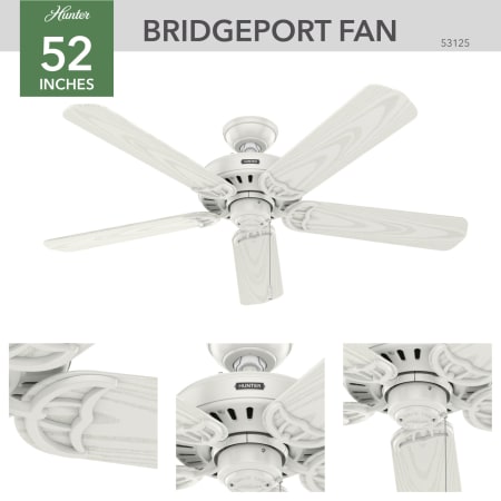 A large image of the Hunter Bridgeport Hunter 53125 Bridgeport Ceiling Fan Details
