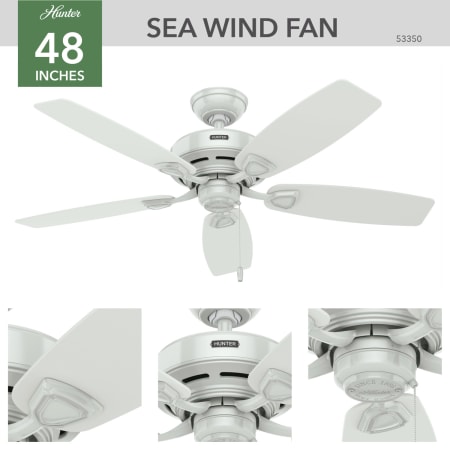 A large image of the Hunter Sea Wind 2 Hunter 53350 Sea Wind Ceiling Fan Details
