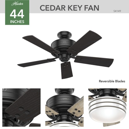 A large image of the Hunter Cedar Key 44 LED Hunter 54149 Cedar Ceiling Fan Details