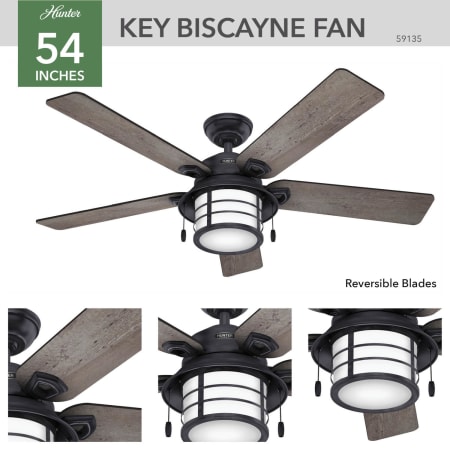 A large image of the Hunter Key Biscayne Hunter 59135 Key Biscayne Ceiling Fan Details