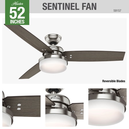 A large image of the Hunter Sentinel Hunter 59157 Sentinel Ceiling Fan Details