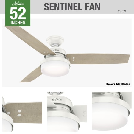 A large image of the Hunter Sentinel Hunter 59169 Sentinel Ceiling Fan Details