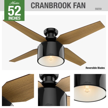 A large image of the Hunter Cranbrook 52 Low Profile Hunter 59259 Cranbrook Ceiling Fan Details