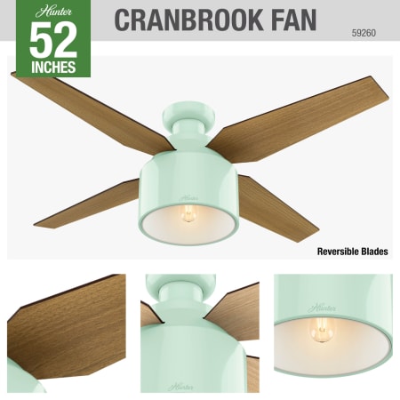 A large image of the Hunter Cranbrook 52 Low Profile Hunter 59260 Cranbrook Ceiling Fan Details