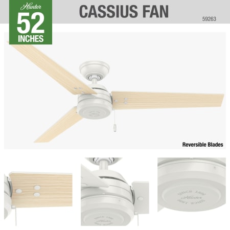 A large image of the Hunter Cassius 52 Hunter 59263 Cassius Ceiling Fan Details