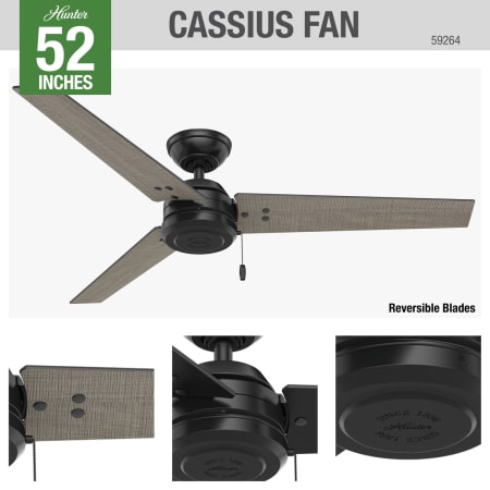 A large image of the Hunter Cassius 52 Hunter 59264 Cassius Ceiling Fan Details