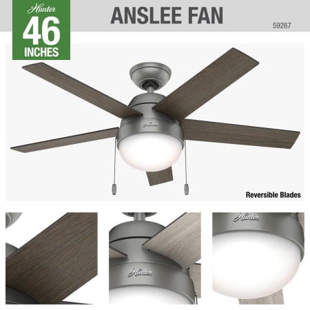 A large image of the Hunter Anslee Hunter 59267 Anslee Ceiling Fan Details