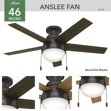 A large image of the Hunter Anslee Low Profile Hunter 59268 Anslee Ceiling Fan Details