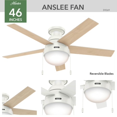 A large image of the Hunter Anslee Low Profile Hunter 59269 Anslee Ceiling Fan Details
